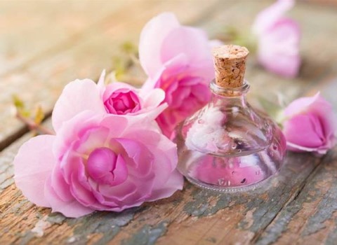 تصویر 2 از قیمت خرید گلاب اصل کاشان + فروش ویژه